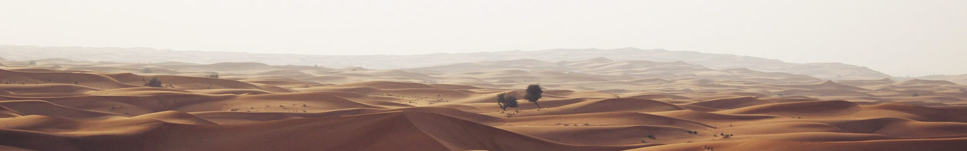 ſó޹˾